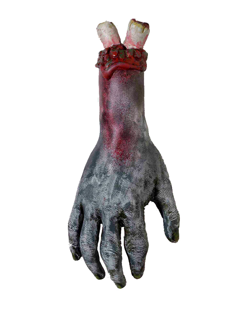 Abgetrennte Zombie Hand 1 Abgetrennte Zombie Hand