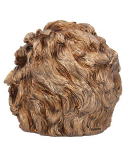 Albert Einstein Totenkopf 21cm -Schattenfest Verkäufe albert einstein totenkopf albert einstein totenschaedel albert einstein skull 54562 04