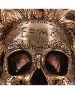 Albert Einstein Totenkopf 21cm -Schattenfest Verkäufe albert einstein totenkopf albert einstein totenschaedel albert einstein skull 54562 05