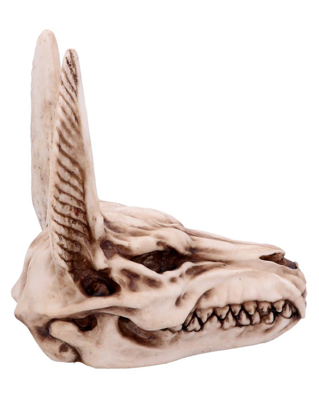 Anubis Totenkopf Figur 17cm 4 Anubis Totenkopf Figur 17cm – Bild 4