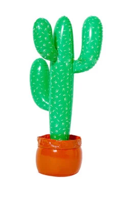 Aufblasbarer Kaktus Aus Vinyl