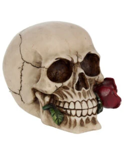 Beiger Totenkopf Mit Roter Rose 15cm