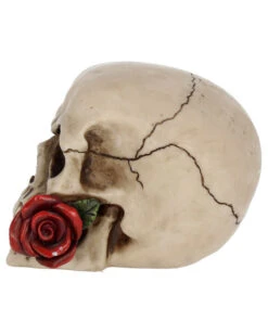 Beiger Totenkopf Mit Roter Rose 15cm 8 Beiger Totenkopf Mit Roter Rose 15cm -Schattenfest Verkäufe beiger totenkopf mit roter rose beiger totenschaedel mit roter rose antic skull with red rose 53389 03