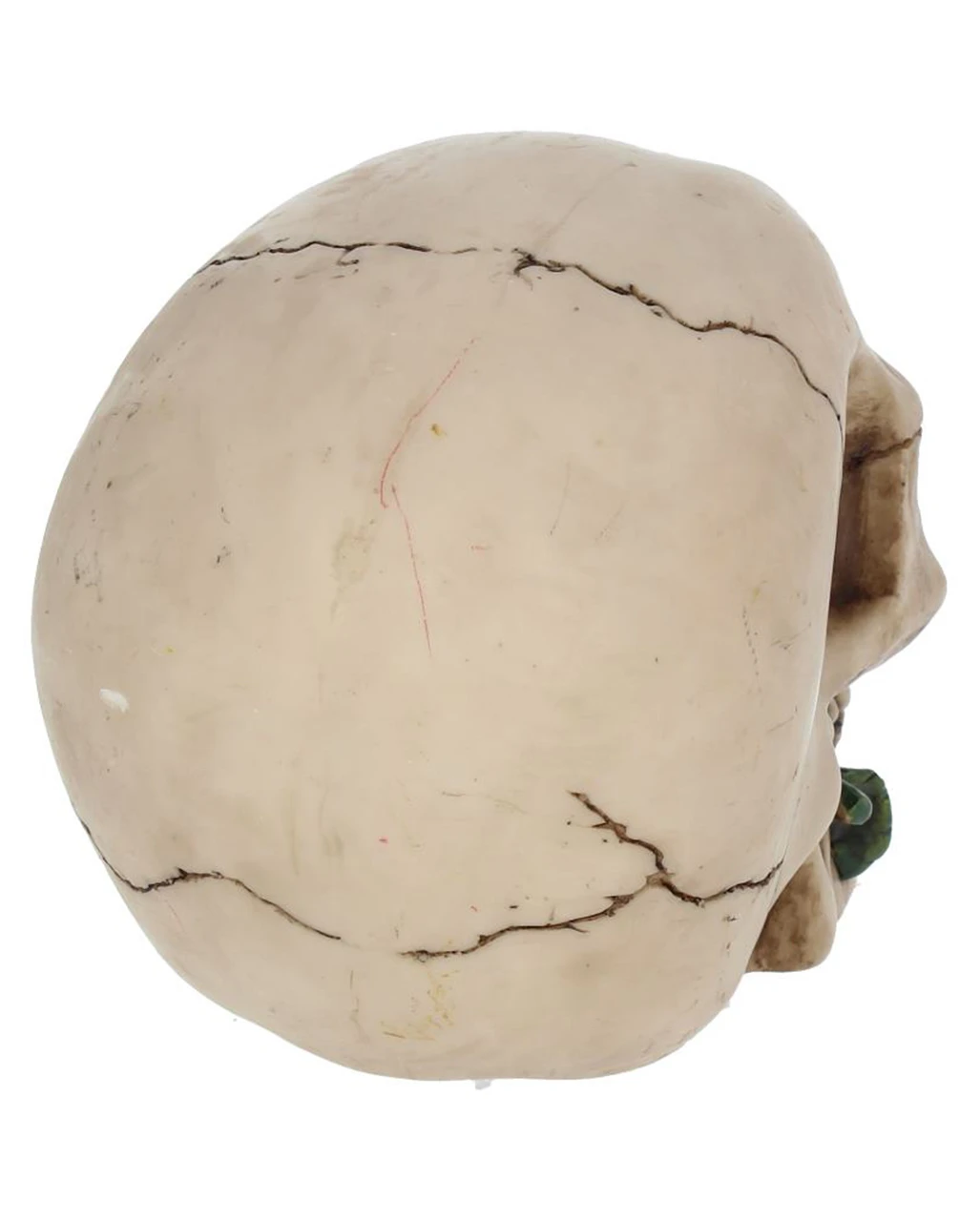 Beiger Totenkopf Mit Roter Rose 15cm 5 Beiger Totenkopf Mit Roter Rose 15cm – Bild 5