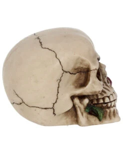 Beiger Totenkopf Mit Roter Rose 15cm 11 Beiger Totenkopf Mit Roter Rose 15cm -Schattenfest Verkäufe beiger totenkopf mit roter rose beiger totenschaedel mit roter rose antic skull with red rose 53389 06