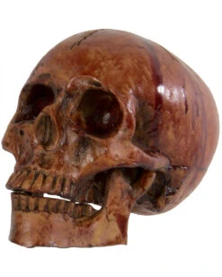 Blutiger Totenkopf Mit Beweglichem Kiefer