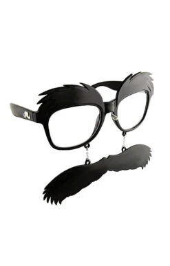 Brille Mit Walrossbart