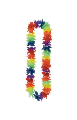 Bunte Hawaii Blütenkette