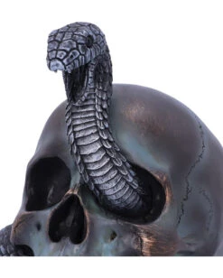 Das Schicksal Der Schlange Gothic Schädel 19cm -Schattenfest Verkäufe das schicksal der schlange gothic schaedel 19cm serpentine fate gothic snake skull gothic deko totenkopf 53993 5