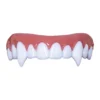 Dental FX Veneers Nightslayer