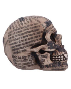 Dracula Totenschädel Mit Bram Stoker Zitaten -Schattenfest Verkäufe dracula totenschaedel mit bram stoker zitaten vampir totenkopf gothic deko halloween tischdeko 50770 04