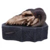 Dragon Skull Totenkopf Box 17,7cm