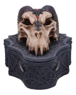 Dragon Skull Totenkopf Box 17,7cm 9 Dragon Skull Totenkopf Box 17,7cm -Schattenfest Verkäufe dragon skull totenkopf box drachenschaedel schatulle dragon skull box gothic deko 54194 03