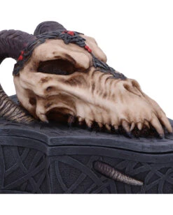 Dragon Skull Totenkopf Box 17,7cm 11 Dragon Skull Totenkopf Box 17,7cm -Schattenfest Verkäufe dragon skull totenkopf box drachenschaedel schatulle dragon skull box gothic deko 54194 05