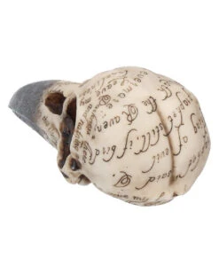 Edgar's Raben Skelettschädel 7 Edgar's Raben Skelettschädel -Schattenfest Verkäufe edgars raben skelettschaedel edgars raben totenschaedel edgars raven skull 39198 04