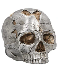 Fracture Totenkopf 16cm