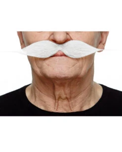 Getrimmter Schnauzer Weiß