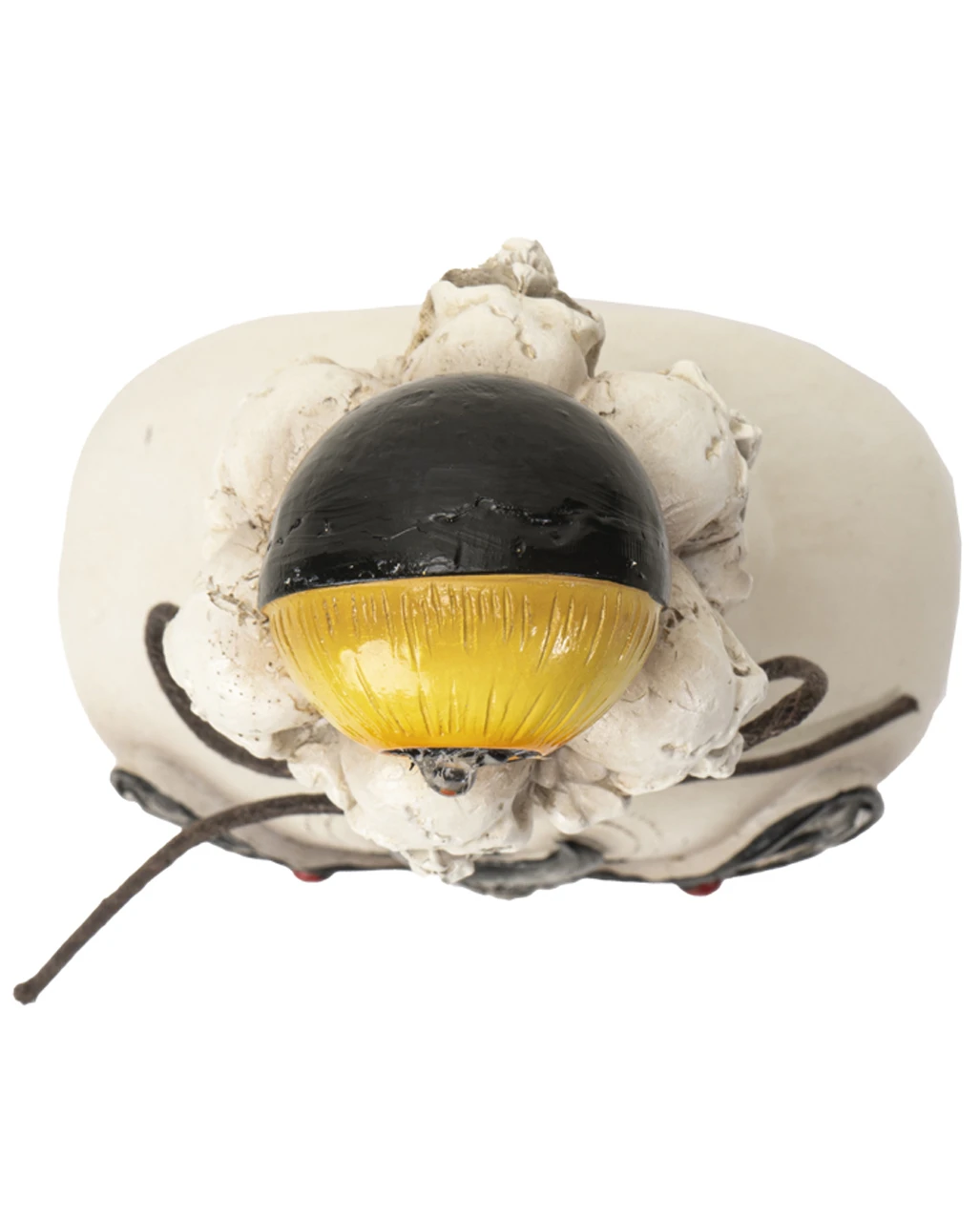 Giftflasche Mit Totenkopf Schwärmer & Augapfel 25cm 3 Giftflasche Mit Totenkopf Schwärmer & Augapfel 25cm – Bild 3