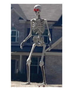 Gigantisches Riesenskelett 3 Meter