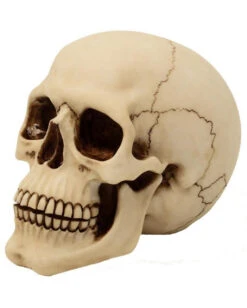 Graveyard Totenkopf Large