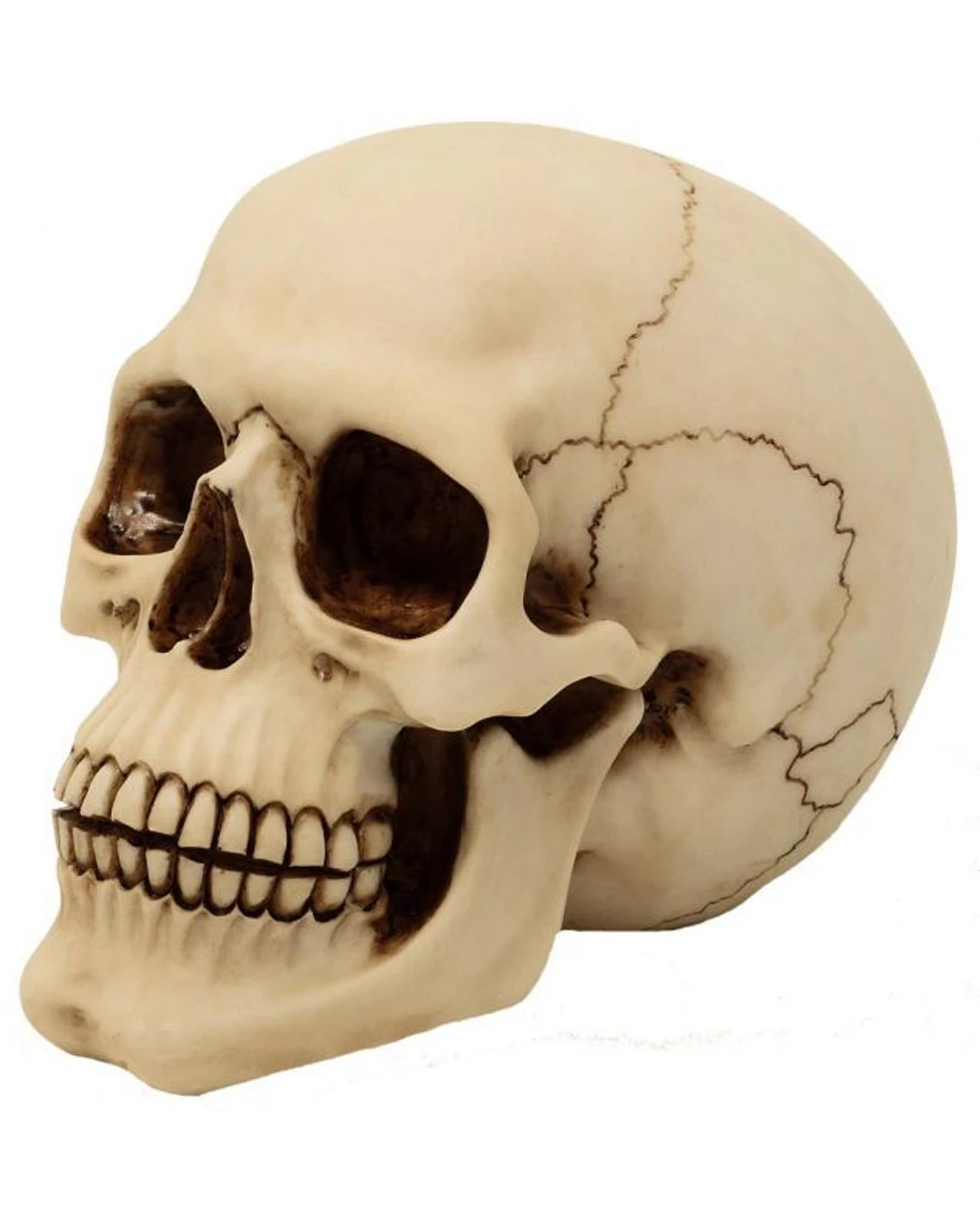 Graveyard Totenkopf Large 1 Graveyard Totenkopf Large