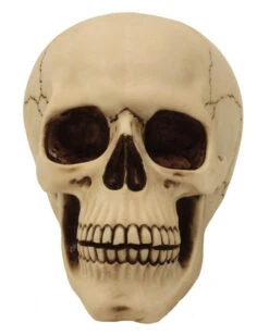 Graveyard Totenkopf Large 5 Graveyard Totenkopf Large -Schattenfest Verkäufe graveyard totenkopf large graveyard totenschaedel graveyard skull large gothic deko 52351 02