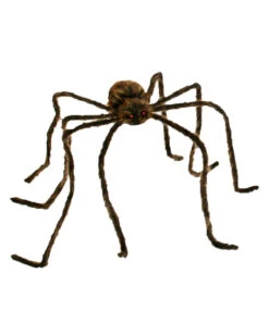 Haarige Riesenspinne Braun 228 Cm