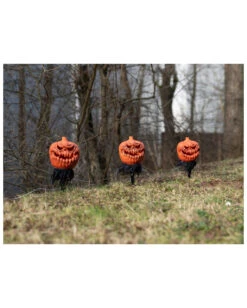 Halloween Kürbis Mit Erdspieß 3er-Set -Schattenfest Verkäufe halloween kuerbis erdspiess 3er set halloween und horror aussendeko halloween pumpkin led decoration 53954 3