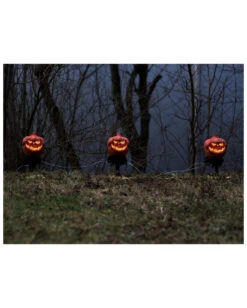 Halloween Kürbis Mit Erdspieß 3er-Set -Schattenfest Verkäufe halloween kuerbis erdspiess 3er set halloween und horror aussendeko halloween pumpkin led decoration 53954 4