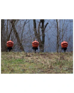 Halloween Kürbis Mit Erdspieß 3er-Set -Schattenfest Verkäufe halloween kuerbis erdspiess 3er set halloween und horror aussendeko halloween pumpkin led decoration 53954 5