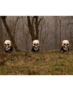 Halloween Totenschädel Mit Erdspieß 3er-Set -Schattenfest Verkäufe halloween totenschaedel mit erdspiess halloween totenkoepfe mit beleuchtung halloween deko 53905 05