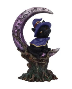 Hexenkätzchen Mit Violetter Mondsichel 18,5cm