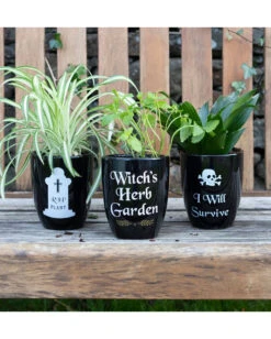 "I Will Survive" Gothic Blumentopf 14cm 6 "I Will Survive" Gothic Blumentopf 14cm -Schattenfest Verkäufe i will survive gothic blumentopf i will survive gothic plant pot gothic deco 53098 03