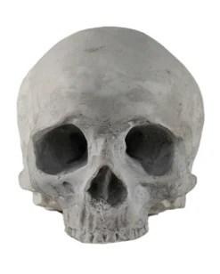 J. DOE Totenkopf 17cm 5 J. DOE Totenkopf 17cm -Schattenfest Verkäufe j doe totenkopf j doe totenschaedel ghotic totenkopf gothic wohnaccessoire gothic homware 54856 03