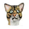 Katzen Maske Aus Latex