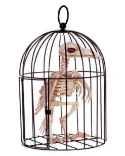 Krähen Skelett Im Käfig