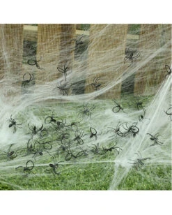 Mini Spinnen Im Beutel 50 St.