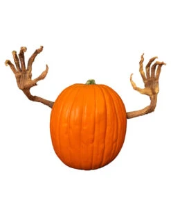 Modrige Kürbis Arme