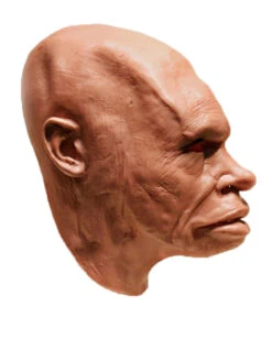 Neandertaler Schaumlatex Maske -Schattenfest Verkäufe neandertaler schaumlatex maske steinzeitmensch latex maske neanderthal foamlatex mask 50345 03