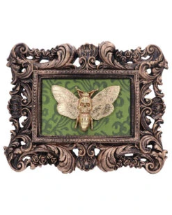 Rechteckiges Totenkopfschwärmer Motte Wandbild