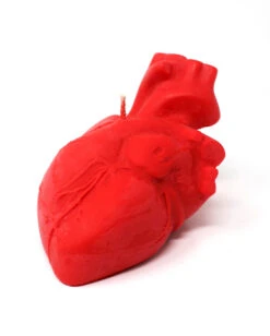 Rote Anatomische Herz Kerze -Schattenfest Verkäufe rote anatomische herz kerze red anatomical heart candle gothic homeware 53183 02