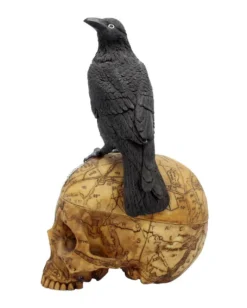 Salem Totenschädel Mit Rabe -Schattenfest Verkäufe salem totenschaedel mit rabe salem totenkopf mit rabe salem skull with raven gothic deko 39298 03