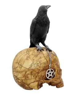 Salem Totenschädel Mit Rabe -Schattenfest Verkäufe salem totenschaedel mit rabe salem totenkopf mit rabe salem skull with raven gothic deko 39298 06