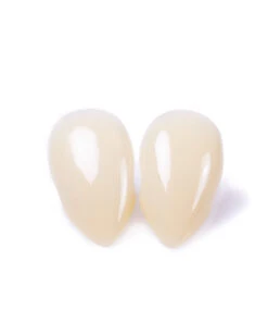 Scarecrow Lady Fangs Vampir Eckzähne -Schattenfest Verkäufe scarecrow custom fangs scarecrow vampir eckzaehne vampirzaehne scarecrow ladyfangs 14534 06