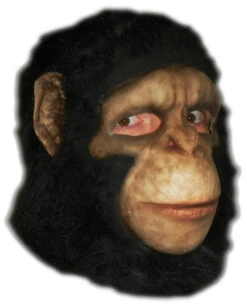 Schimpansen Maske -Schattenfest Verkäufe schimpansen maske mit kunsthaar chimp mask affen maske tiermaske 21528 02