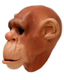 Schimpansen Schaumlatex Maske -Schattenfest Verkäufe schimpansen schaumlatex maske affenmaske tiermasken bild4 15361