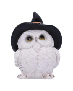 Schneeeule Mit Hexenhut