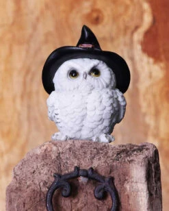 Schneeeule Mit Hexenhut -Schattenfest Verkäufe schneeeule mit hexenhut gothic deko und geschenkartikel halloween geschenke 52212 7