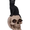Schwarze Katze Auf Totenkopf 24,3cm