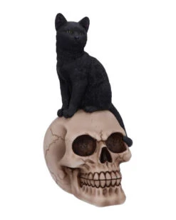 Schwarze Katze Auf Totenkopf 24,3cm